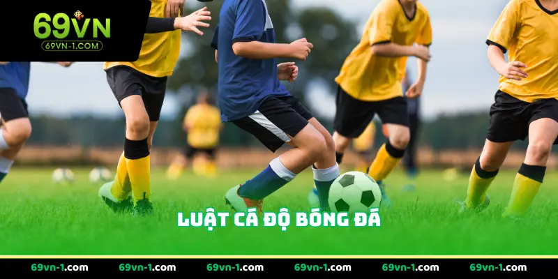 Luật Cá Độ Bóng Đá