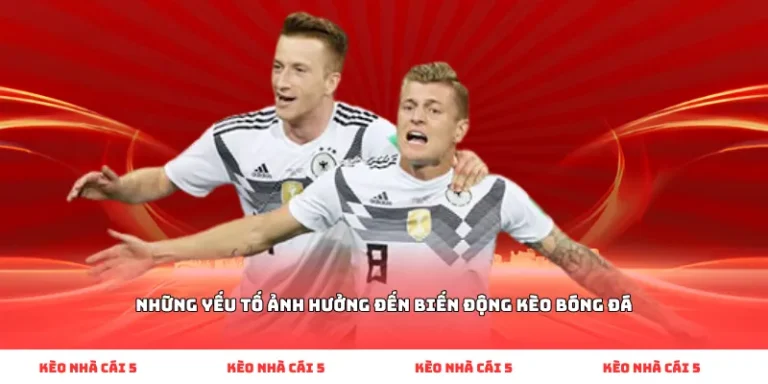 Bộ tiêu chuẩn kỹ thuật số giúp người chơi sàng lọc và lựa chọn nền tảng cá cược bóng đá an toàn.